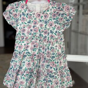 Crewcuts Kids Dress with Pink and Green Floral Design